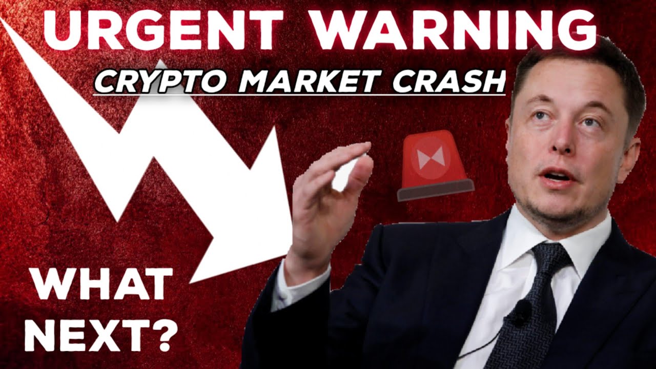 ? Urgent warning: crypto market crash होने का क्या है कारण और आगे क्या होगा? | bitcoin news today