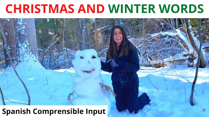 Spanish Comprehensible Input | Christmas and Winte...