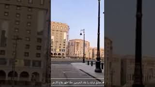 ياطيبة جئتك صفا لرسول الله محبااا