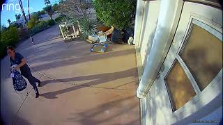 Coyote attacks kid captured on Ring camera