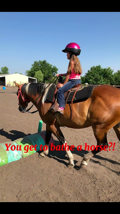 Reminder: where u are now u dreamed to be don’t take life for granate #horseenthusiast #equestrian