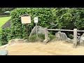 Korakuen Garden 26/05/23 -5