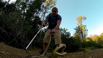 Coastal Taipan Strike