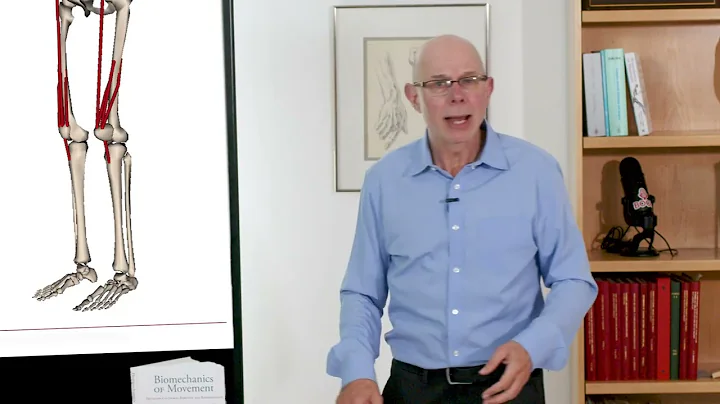 Biomechanics of Movement | Lecture 6.1: Introduction to Musculoskeletal Geometry