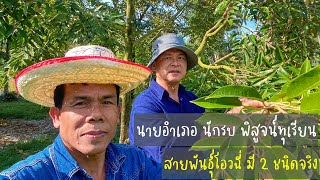 นายอำเภอ นักรบ พิสูจน์ทุเรียนสายพันธุ์โอวฉี่ มี 2 ชนิดจริง | EP.72