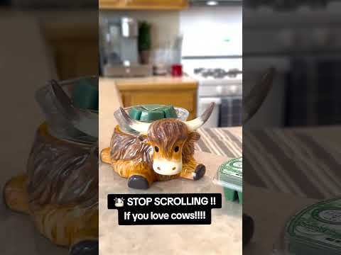 🐮 STOP SCROLLING