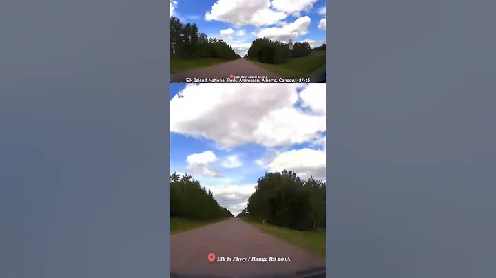 Elk Island National Park, Ardrossan, Alberta, Canada. +8/+15 Celsius.