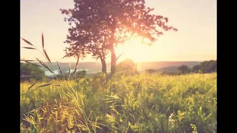 Dennis Shin - What is Eternal Life? (7/19/15)
