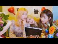 welcome to handong's live 🐱 한동 라이브 환영합니다~