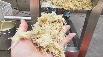 Ginger Juicer | Screw Juice Extractor