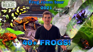 FROGROOM TOUR 2021! 40+ Frogs!