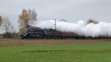 LNER Wartime Black A4 on the ECML - 4498 Sir Nigel Gresley | Steam Dreams Excursion - 17.11.22
