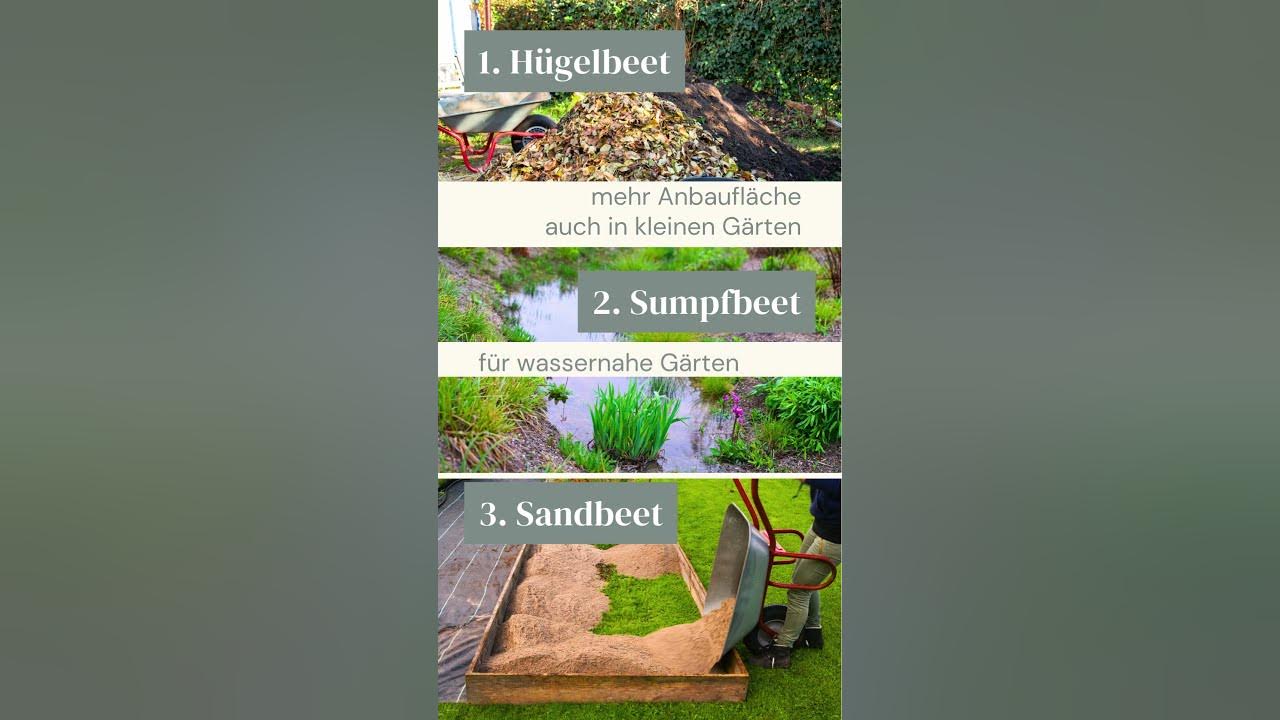 Anlegen eines Beetes für einen resistenten Garten Welche Beetform