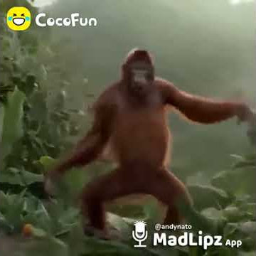 BESOK Libur