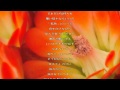 Pureness/北出菜奈/歌詞付き Relaxing Music