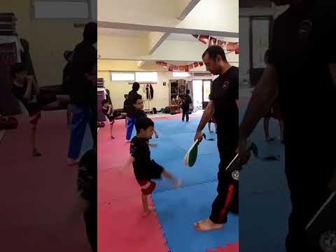 حمزة عوز يكون مدرب كبير شبه الكابتن