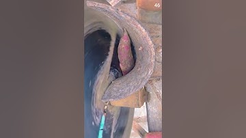 ide cerdas memotong ubi menggunakan alat cerdas sederhana #shorts