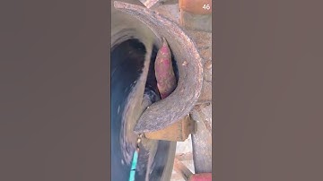 ide cerdas memotong ubi menggunakan alat cerdas sederhana #shorts