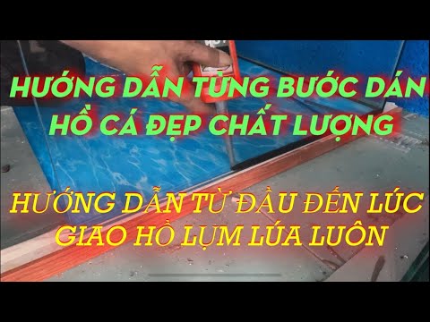 HƯỚNG DẪN CÁC