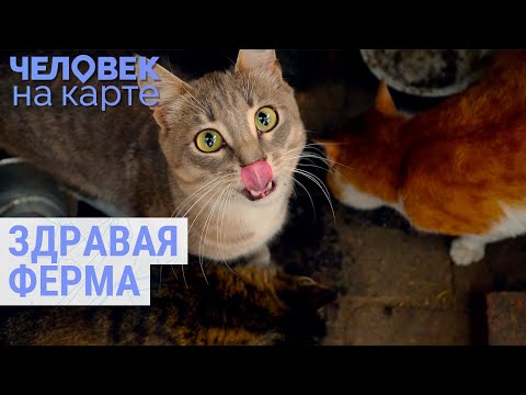 Сельское хозяйство по эко-стандартам | ЧЕЛОВЕК НА КАРТЕ