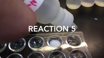 LAB - Solubility Rules and Precipitate Reactions