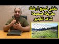 تسييج الأرض الفلاحية بطريقة صحيحة (موضوع مهم.. لا تفوته)