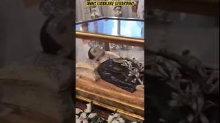 San Gerardo Maiella prega per noi