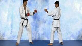 Machida Karate for MMA Volume 1