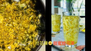 自製桂花涼粉｜蜂蜜桂花茶 初秋的一抹桂花香