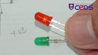DAE21403 Lab 1 Activity 4