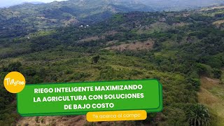 Riego Inteligente: agricultura con soluciones de bajo costo - TvAgro por Juan Gonzalo Angel Restrepo by TvAgro 1,725 views 6 days ago 13 minutes, 41 seconds