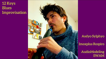 12 Keys Blues on the Sylphyo ( #aodyo #omriabramov #respiro #audiomodeling )