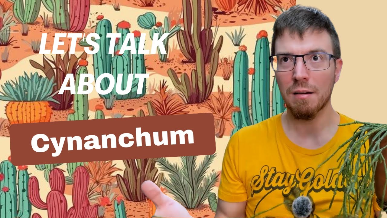 Let's Talk about Cynanchum