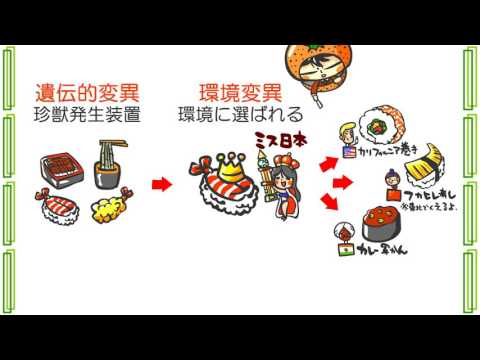 生物６章６話「続動物と進化」ｂｙWEB玉塾