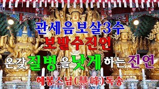 온갖 질병을 낫게 하는 진언/관세음보살 3수 보발수진언(寶鉢手眞言)혜봉스님 독송(☎010-4667-4557법등심)