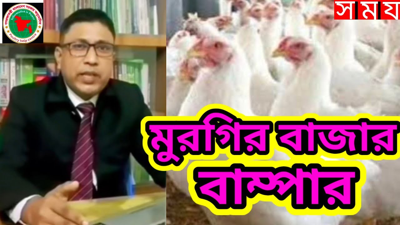 মুরগির বাজার বাম্পার, জেনে নিন আজকের মুরগির বাজার ajjker murgir Bazar, viral news, update news