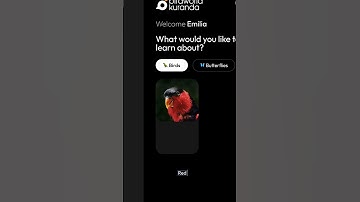 CREATIVE WEBSITE DESIGN IN WIX STUDIO | UI/UX Design #WIXSTUDIO #FIGMA #ADOBEXD