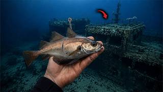 Fishing Directly Above a 250ft Deep Shipwreck..