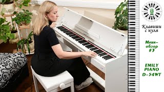 Клавиши с нуля - Мини обзор 3 -  EMILY PIANO D-54 WT