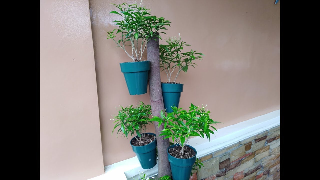 Wooden Pot Plant Tower (DIY Vertical Planter)