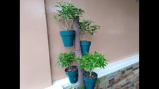 Wooden Pot Plant Tower DIY Vertical Planter