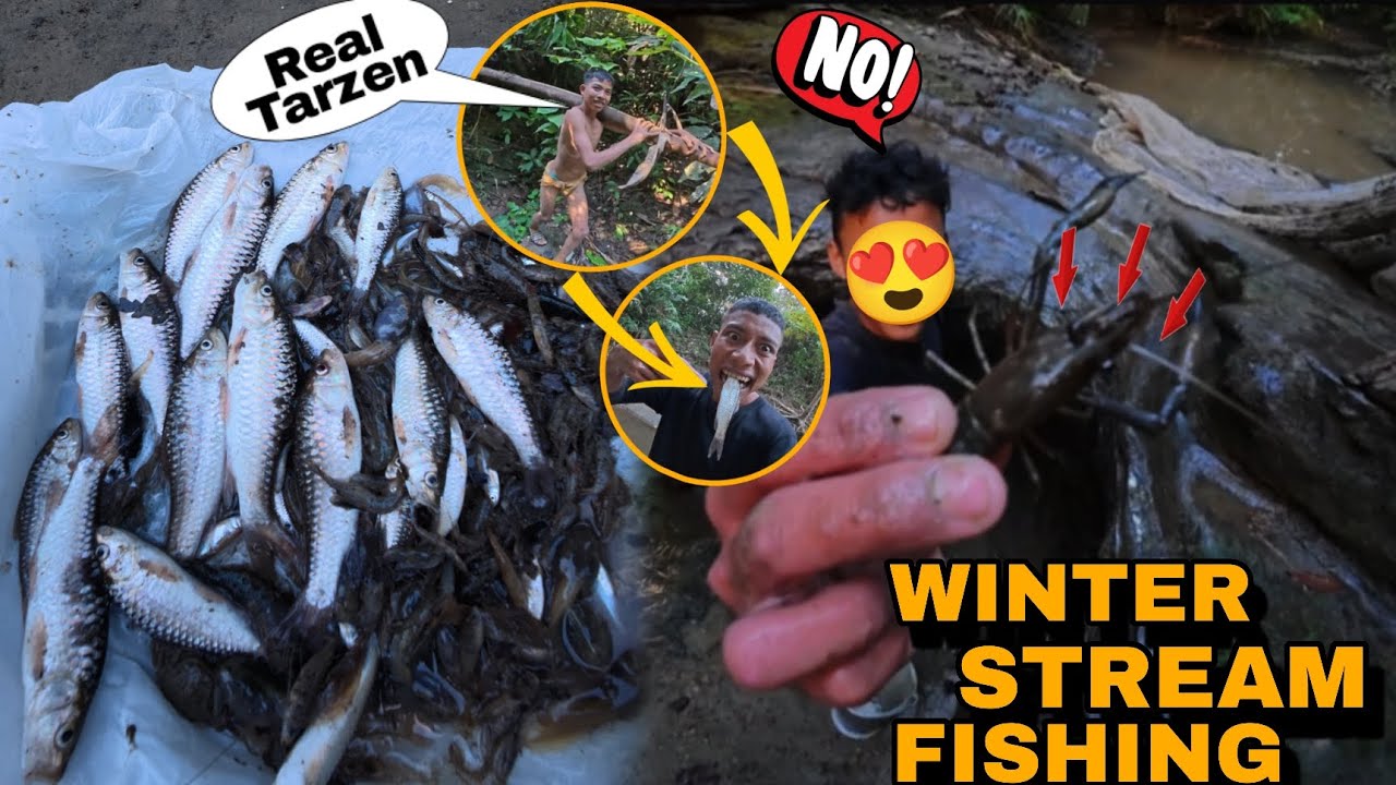 Winter Fresh Stream Fishing Unbelievable Gain Fresh Fish Catch & Cook 🌊🐟
