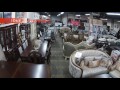 Furniture Store In Edmonton-Sundeep Furniture-Drone Video Tour