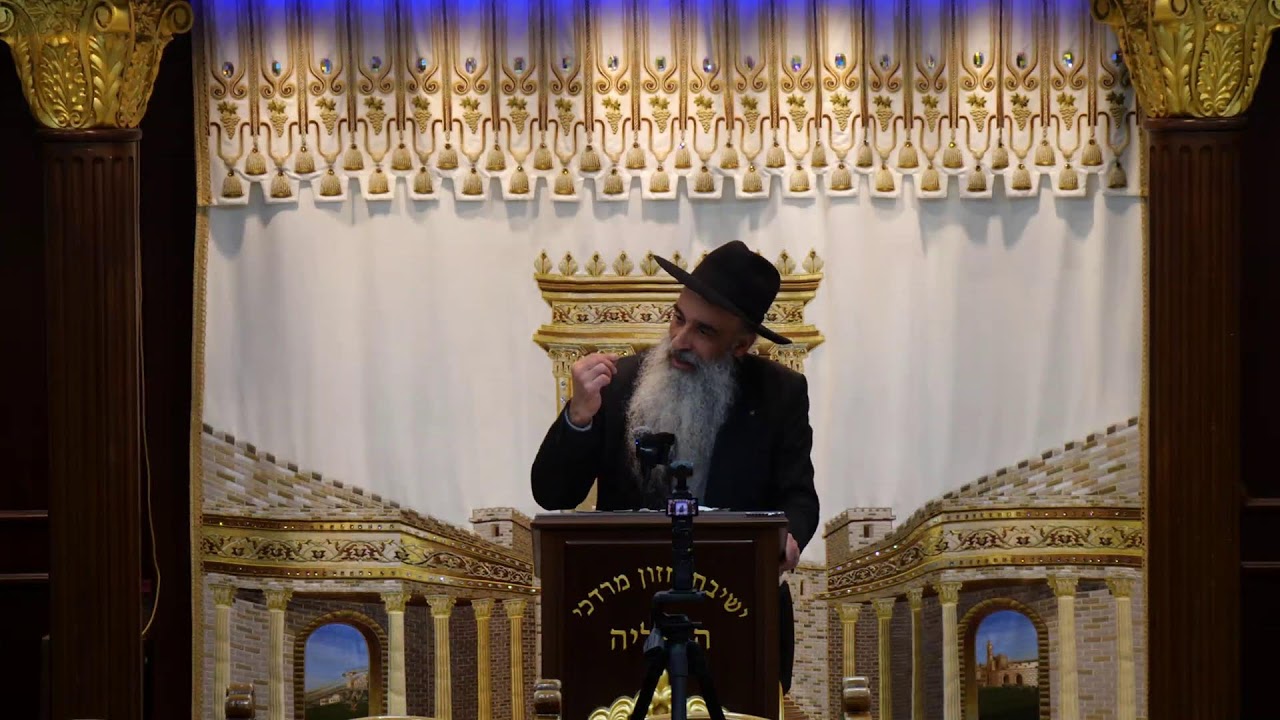 הרב מאיר דוד שמואלי שליט"א - שידור חי יום ב'- פרשת ויחי תשפ"ו
