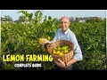 Lemon farming complete guide  limecitrus fruit cultivation