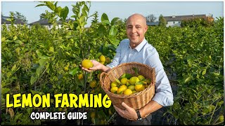 LEMON Farming: Complete Guide | Lime/Citrus Fruit Cultivation