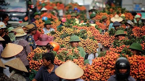 SAPA TV XUYÊN VIỆT (Tập 119) ĐI CHỢ VẢI THĂM PHÙ THUỶ VẢI THIỀU ĂN TOÀN MÓN NGON TRÊN HỒ CẤM SƠN