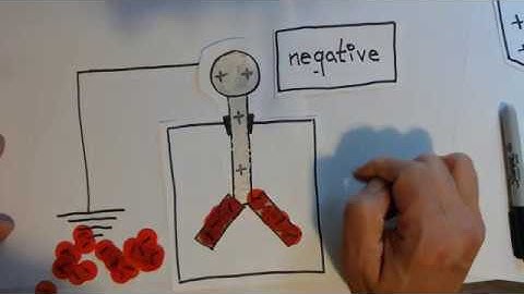 Charge Electroscope by Induction with a negative