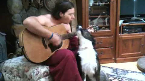 Singing dog