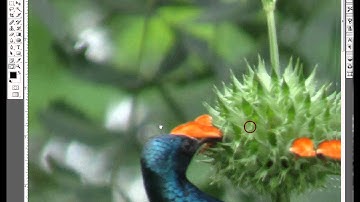 photoshop tutorial * How to view actual pixel size and print size in photoshop